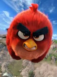 Angry Bird